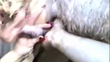 Blonde whore blows a massive horse cock until it's completely drained