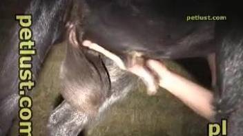 Horny goat enjoying the GOAT bestiality sex session