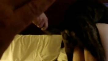 Rear-entry pounding for a brunette beast-loving vixen