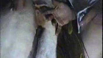 Guy toys with mare's cunt and bangs it