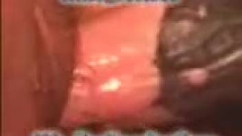 Intense bestiality adult video clips featuring an older female