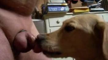 Guy with a tiny cock receives an awesome BJ from his pet