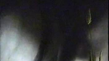 Detailed close-up scenes in an awesome bestiality adult video