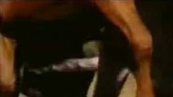 Sexy horse-on-horse fucking video with riveting close-ups