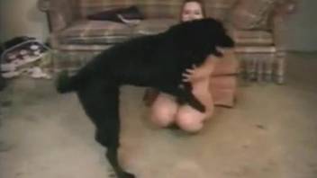 Seductive teen blonde fucked on all fours by a dog