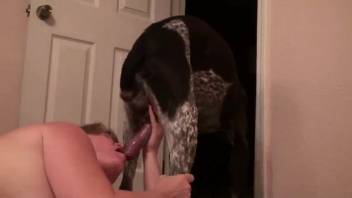 Aroused hottie gives oral to an excited canine with a massive crimson penis