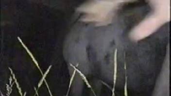 Midnight equine erotica featuring a dude obsessed with enormous cocks