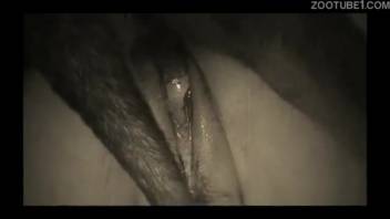 Intense canine bestiality video with deep pussy penetration for a wife craving zoophilia