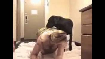 Curvy blonde with huge boobs and a big butt gets pounded intensely from behind.