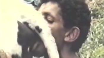 Cow