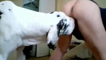 Huge canine pounds petite lady relentlessly in intense action