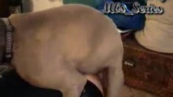 Moist and bushy mature woman's vagina is completely ravaged by a canine