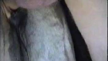 Aroused light-skinned guy pounds a yielding Caucasian prostitute