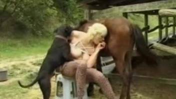 Blonde's threesome with a horse and a horny dog