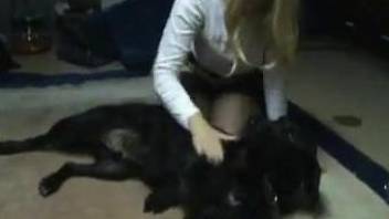 White top blonde in stockings jerking dog's cock