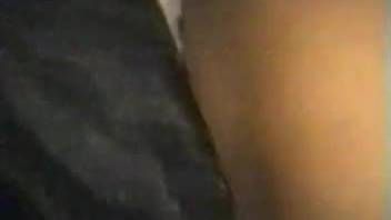 Bushy-vag blonde babe takes a creampie from a pooch