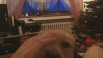 Dog comes and licks the master's cock when he's masturbating