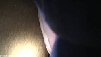 Intense animal encounters with raw penetration, detailed close-ups in the shadows