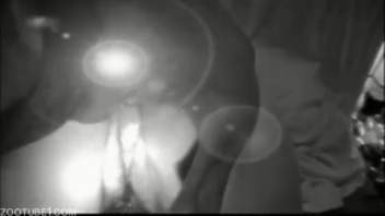 Homemade footage of intense bestiality with dogs captured on camera after dark.