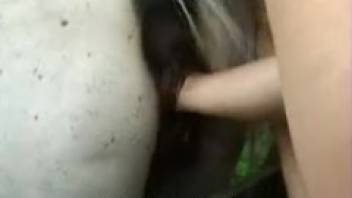 Slender animal park slut fist-bangs the stallion