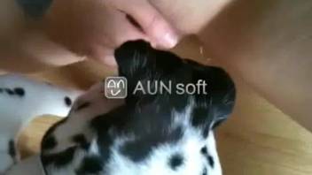 Diligent canine eagerly assists owner in reaching climax on webcam