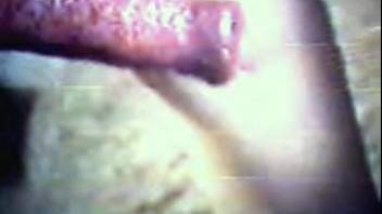 Vintage clip depicting intense lovemaking with a naughty canine