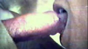 Slut devours the dog's shaft as if she's a hooker