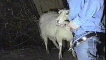 Dressed guy desires to screw the ewe