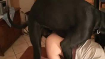 Ginger babe gets banged by all the folks in the house