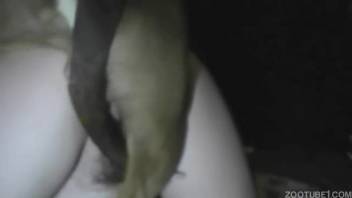 A brown dog ravaging this whore's narrow orifices, with an internal ejaculation finish