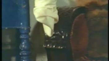 Curvaceous woman gets aroused and decides to perform oral on the horse's shaft