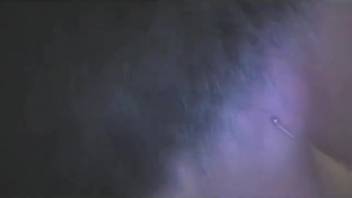 Intense close-up of vaginal hammering by an unyielding dog