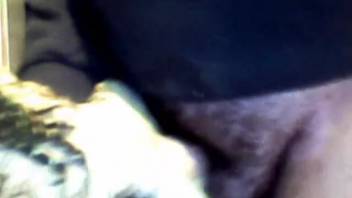 Older man forcefully thrusts his shaft deep into a reptile's rear.