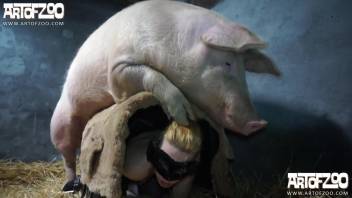 Nylons-wearing mature vixen being screwed by a freaky swine