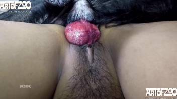 Sporty Latina with a hairy cunt gets drilled by a dog