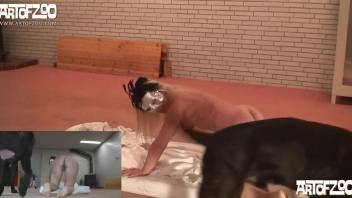 Blond-haired chick gets plowed hard by a black dog
