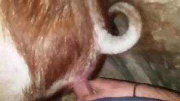 Wet pussy animal getting fucked by a hung farmer