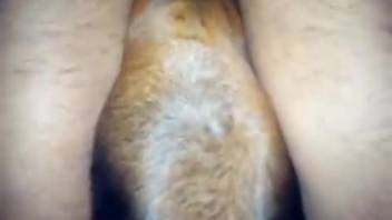 Canine's skull nearly smashed while giving head in first-person view