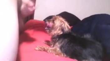 Intense throat pounding for an obedient pet sub