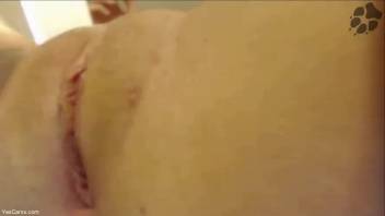 Just legal young girl has her vagina tongued by a canine