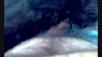 Guy screws a cow's mouth before banging her snatch