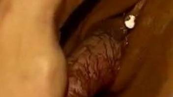 Pierced clit chick gets banged by an animal