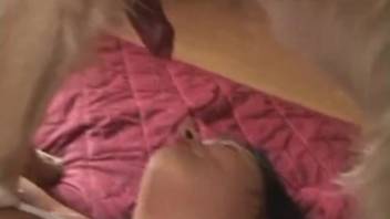 Blond woman kneels on hands and knees to blow this canine's thick dick