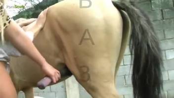 Voluptuous dark-haired vixen blowing a hung stud's massive cock