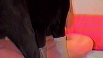Blonde in black underwear mounting this pooch's thick dick
