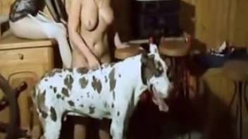 Caucasian dominant brunette pounding a Dalmatian inside