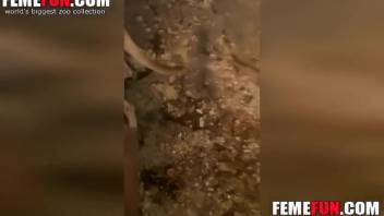 Naughty blonde discovers an ideal place for canine fucking