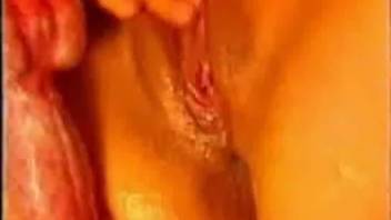 Intense pitbull pounding with curvy spouse in wild animal house vid at residence