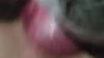 Up-close internal ejaculation for a woman obsessed with canine penises