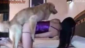 Masked slut gets drilled by her big-dicked dog on cam